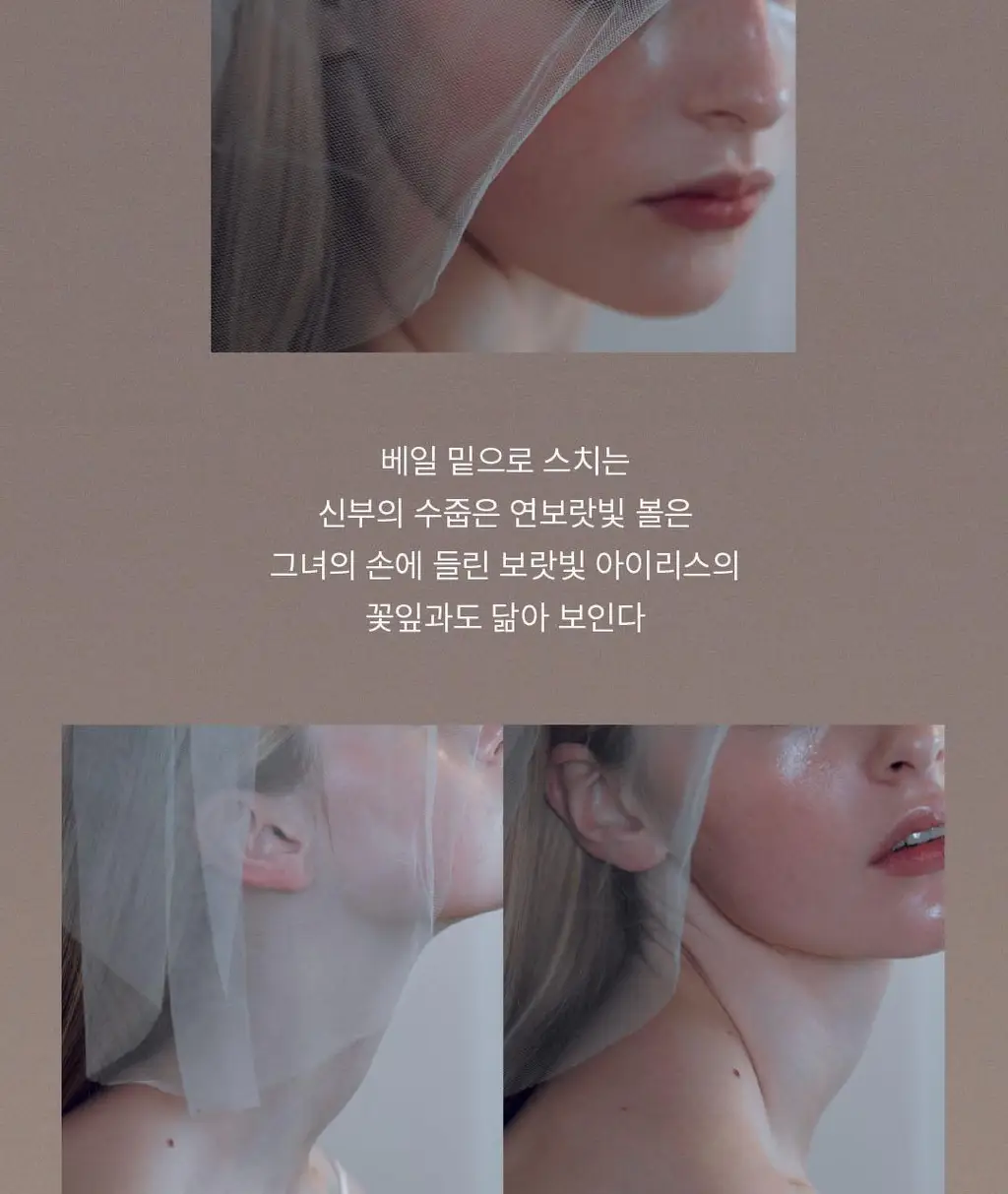 호텔도슨 디퓨저 프레스포샴페인 250ml [플로럴 파우더리 향] 상세페이지 9